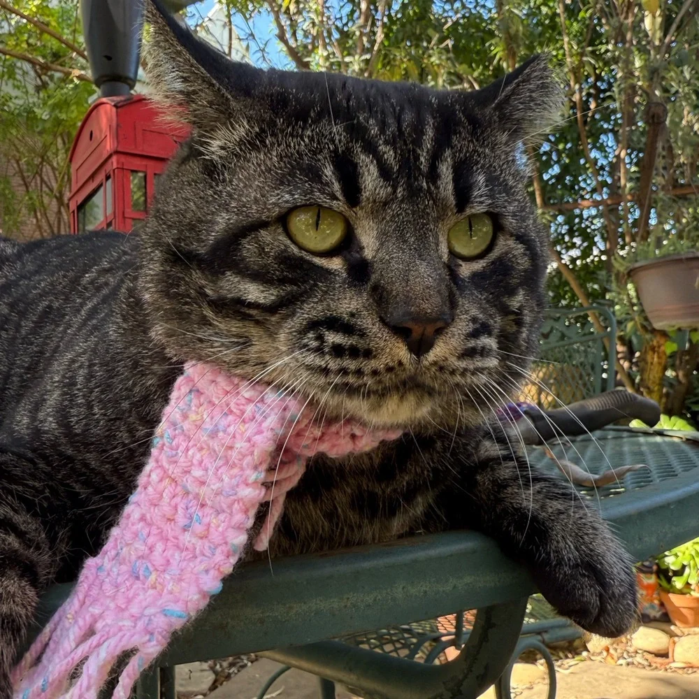 2 for 1 Cozy Cat / dog Scarf